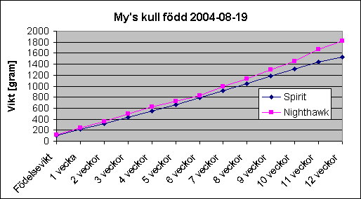 My's kull fdd 2004-08-19